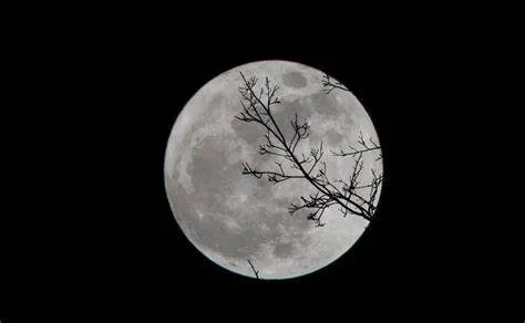 Llegó la Luna llena en febrero: porqué la llaman «Luna de nieve»