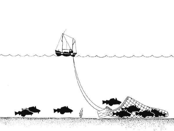 Pesca de arrastre destructiva-posdata-digital-press