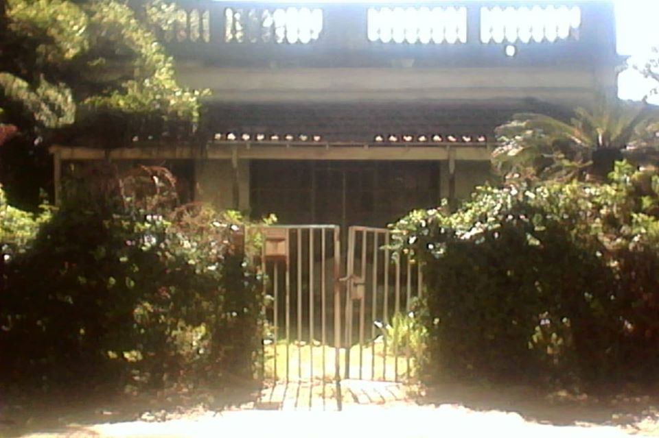 Leones de Escalada-posdata-digital-press