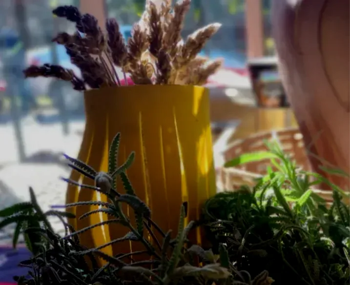 WhatsApp Image 2025-06-05 at 6