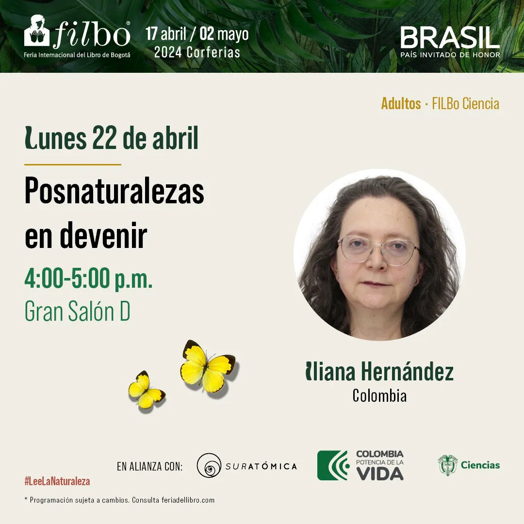 FiLBo 2024