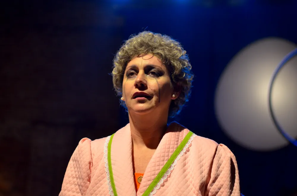 adoro esta vida-teatro-PH: Julian Lopez