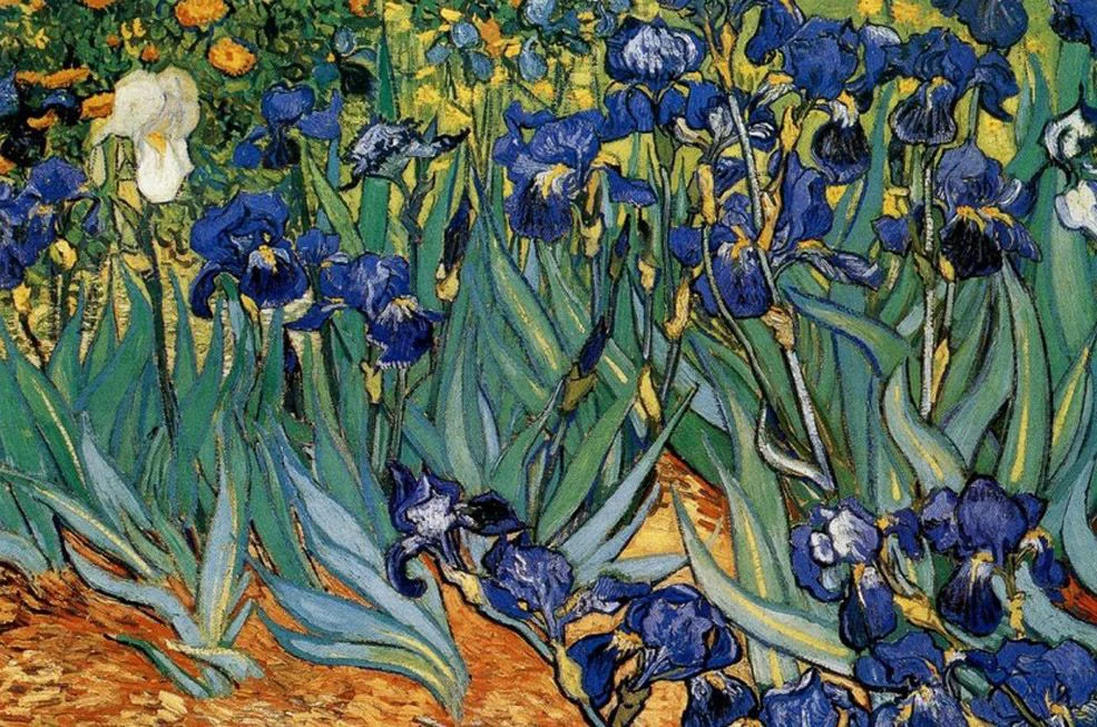 DMVan Gogh. lirios