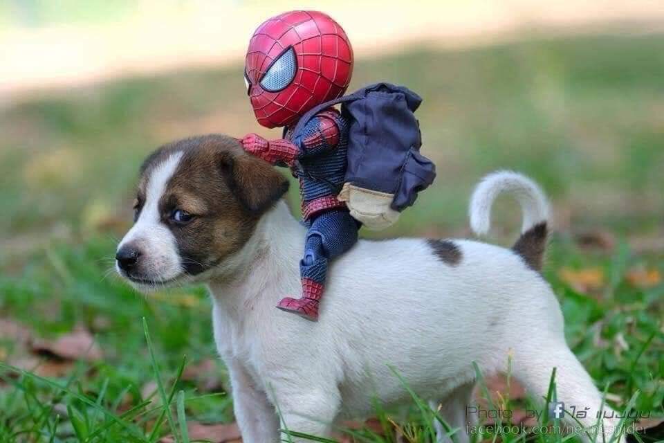 Las aventuras del pequeño hombre araña y sus amigos