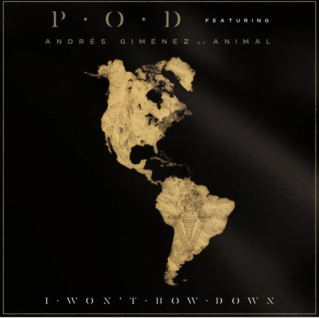 WhatsApp Image 2025-03-05 at 11.17.24 PM (1)