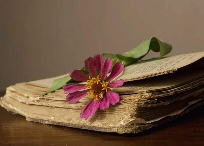 ¿Qué pasa con los libros antiguos?osdata digital press