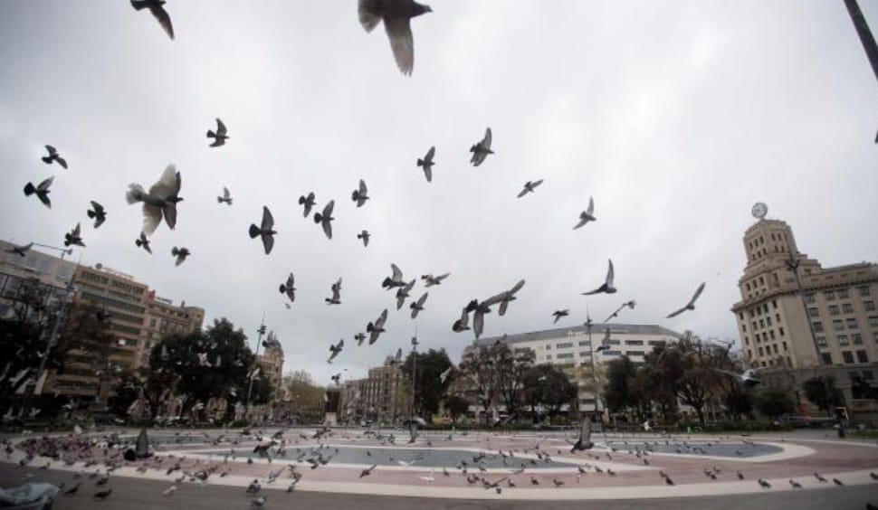 Desde mi trinchera con amor-posdata digital press