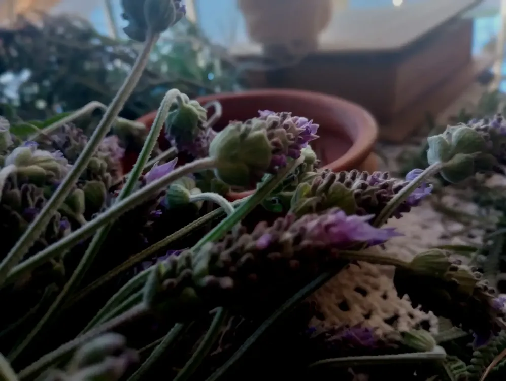 WhatsApp Image 2025-06-05 at 7.17