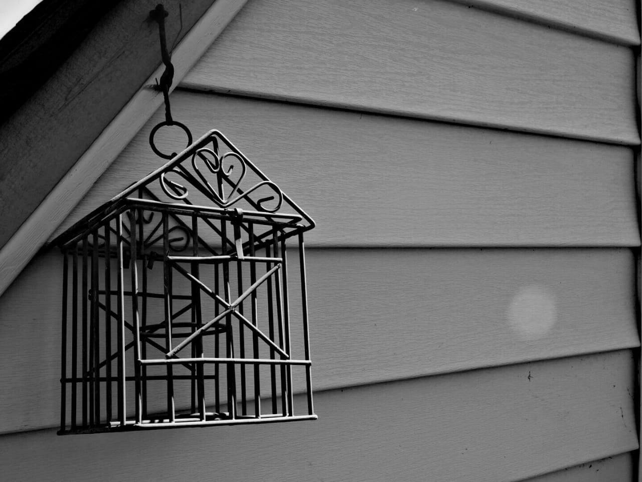 volar cerca de las aulas-posdata digital press