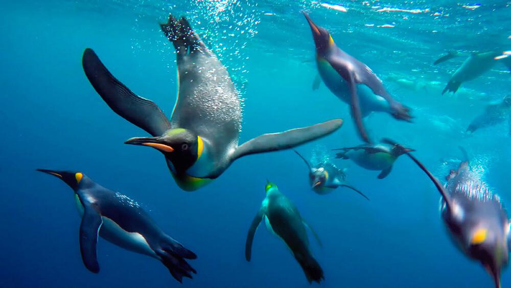 concurso PhotoAquae 2021