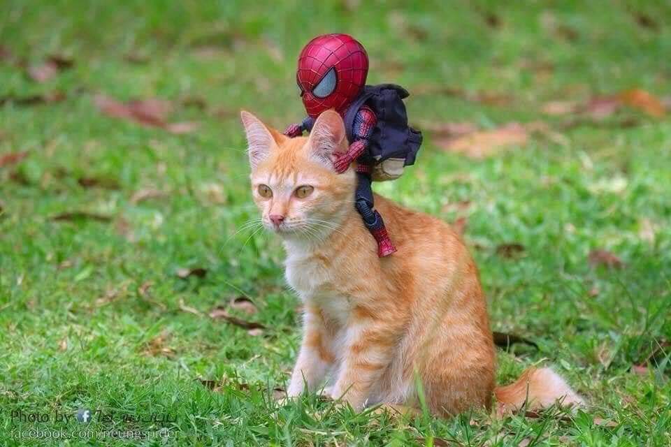 Las aventuras del pequeño hombre araña y sus amigos