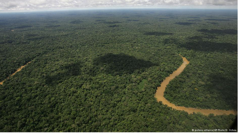 Qué la destrucción de la selva no sea lucrativa
