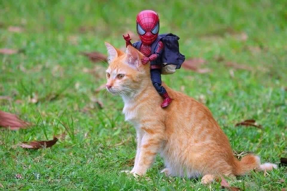 Las aventuras del pequeño hombre araña y sus amigos