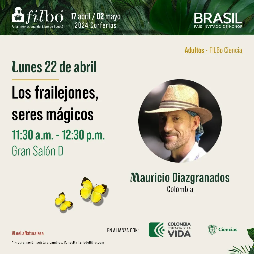 FiLBo 2024