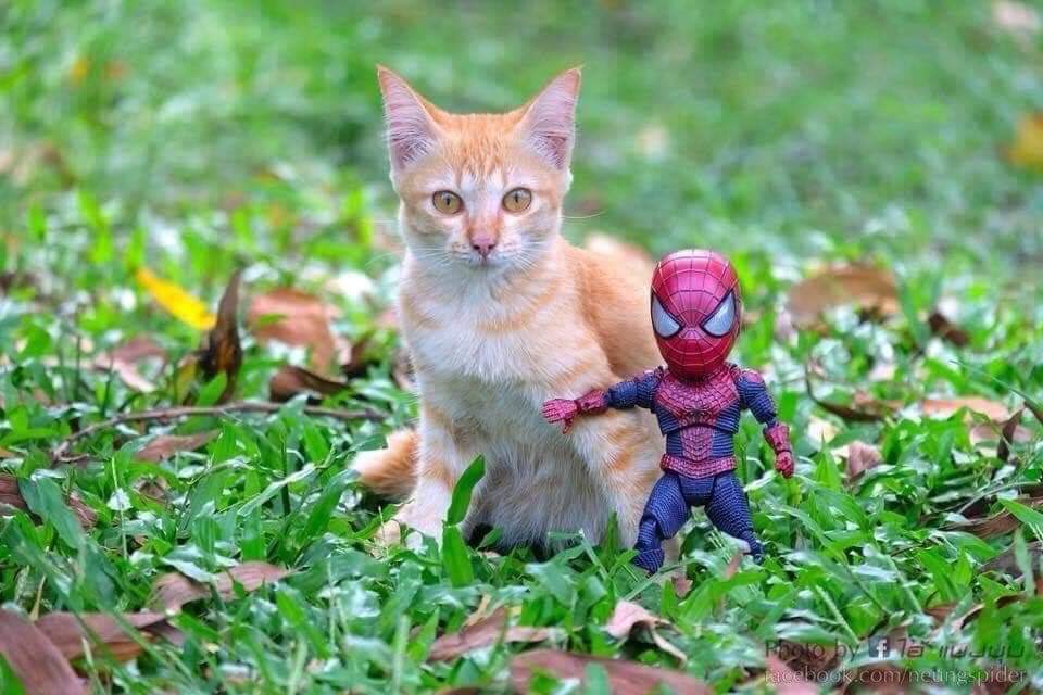 Las aventuras del pequeño hombre araña y sus amigos