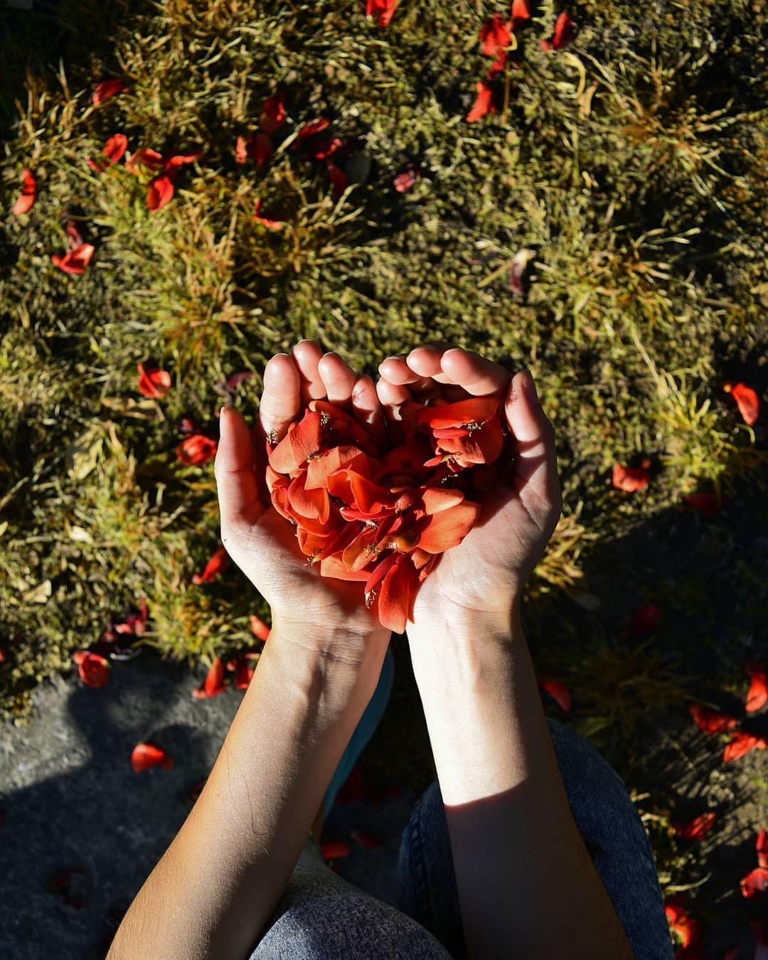 Amor como puente-posdata digital press