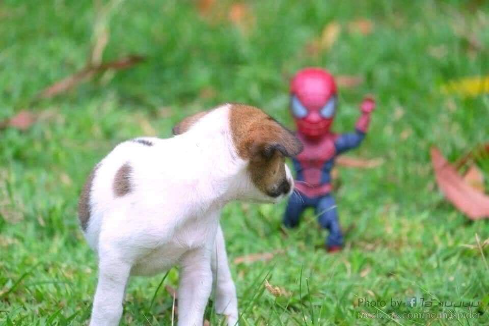 Las aventuras del pequeño hombre araña y sus amigos