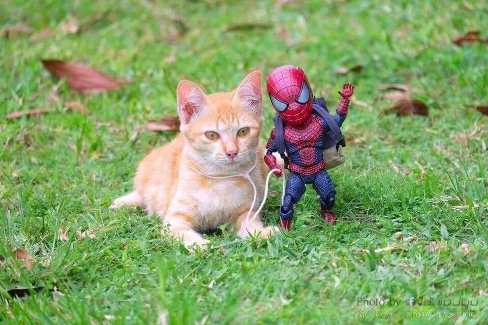 Las aventuras del pequeño hombre araña y sus amigos