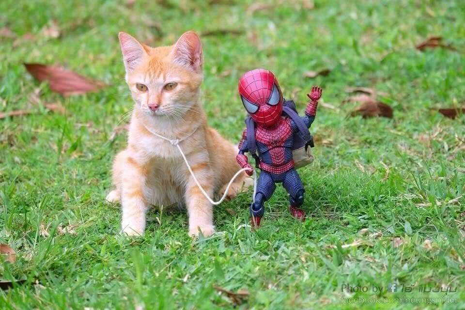 Las aventuras del pequeño hombre araña y sus amigos