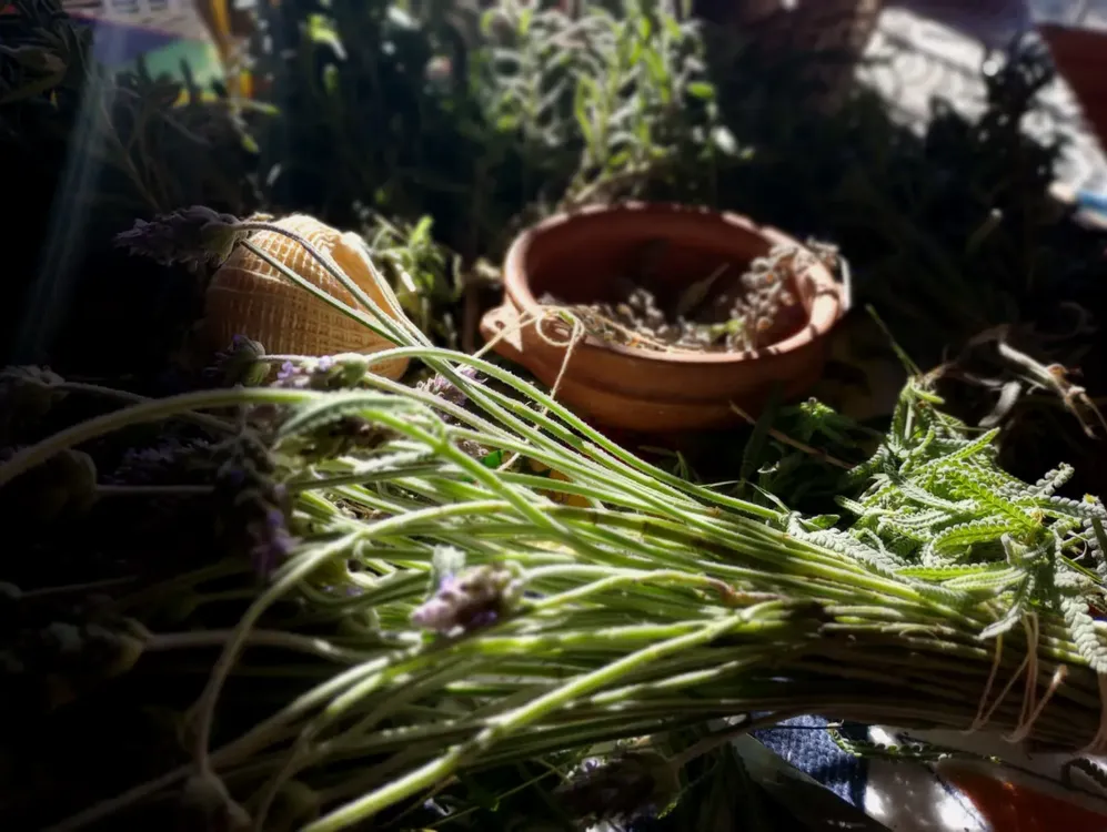 WhatsApp Image 2025-06-05 at 6.27