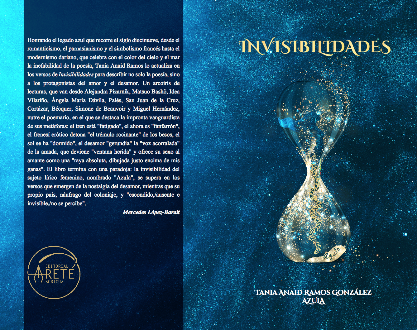 Portada y contraportada del libro Invisibilidades-posdata-digital-press