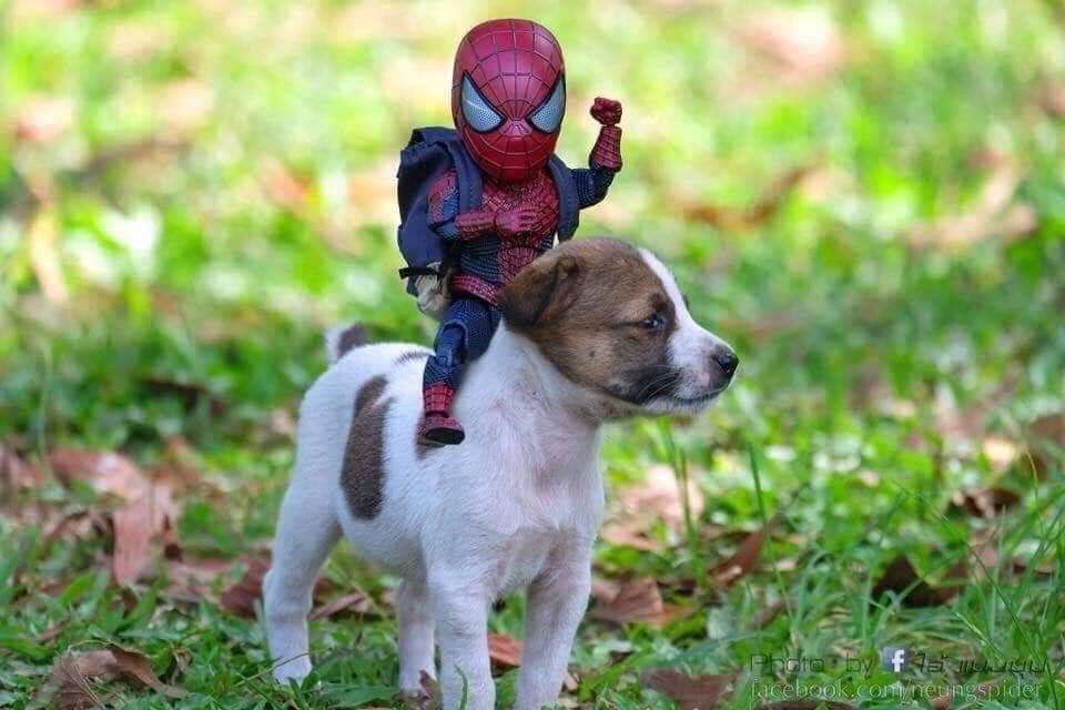 Las aventuras del pequeño hombre araña y sus amigos