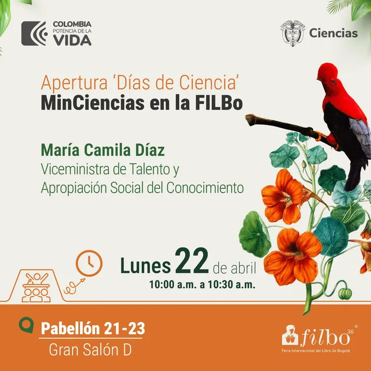 FiLBo 2024