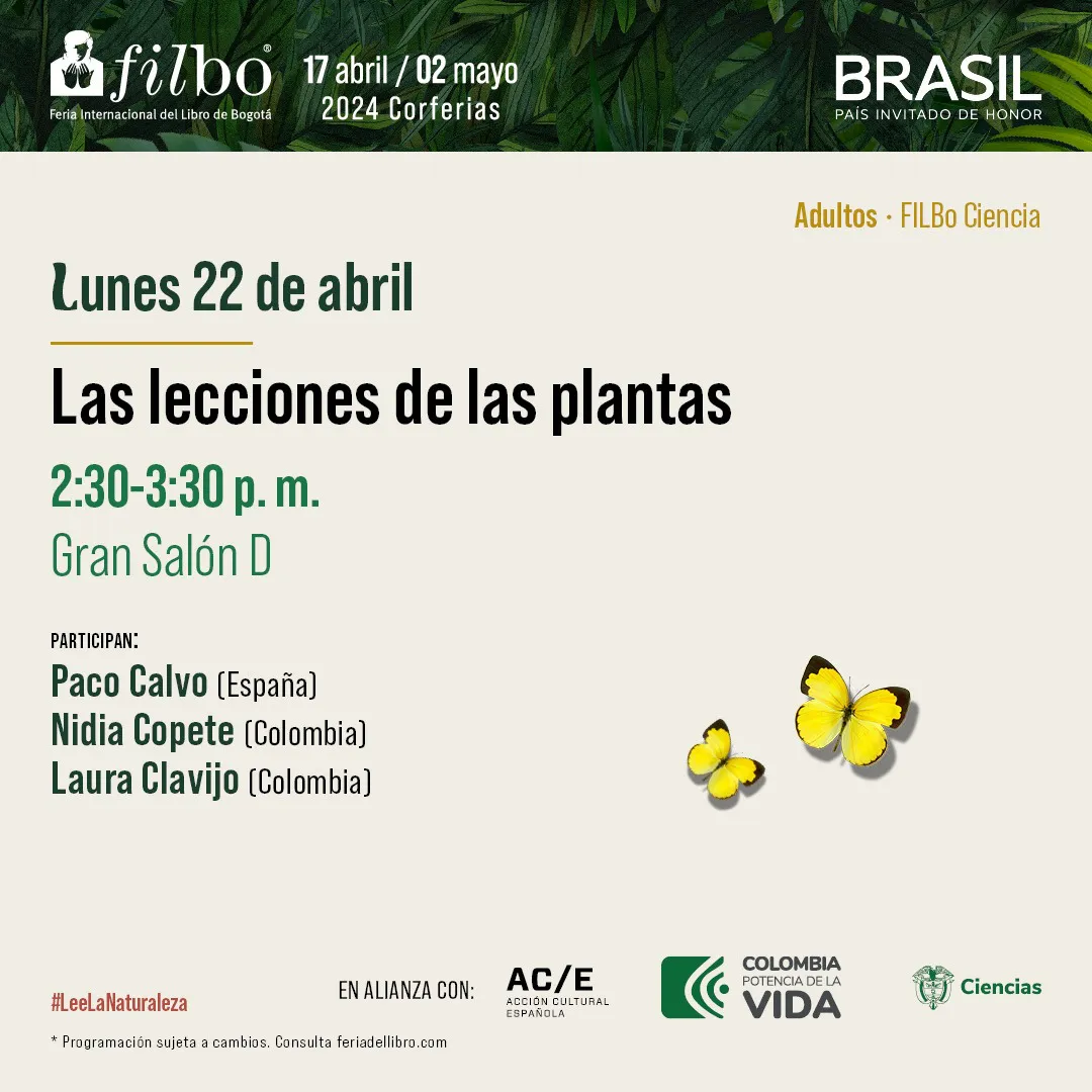 FiLBo 2024