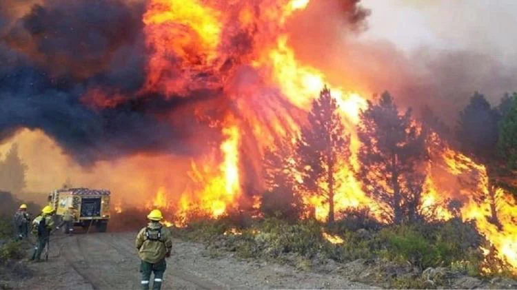 Incendios.La noticia ,com