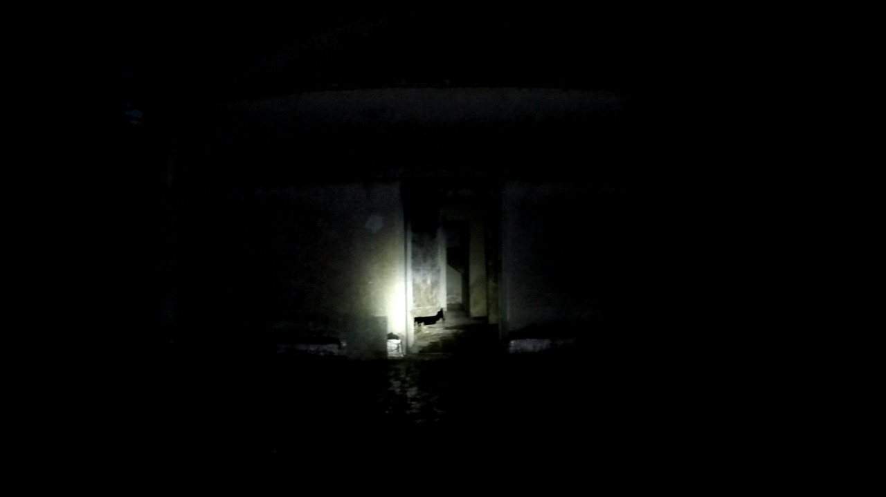 IMG-20180607-WA0020