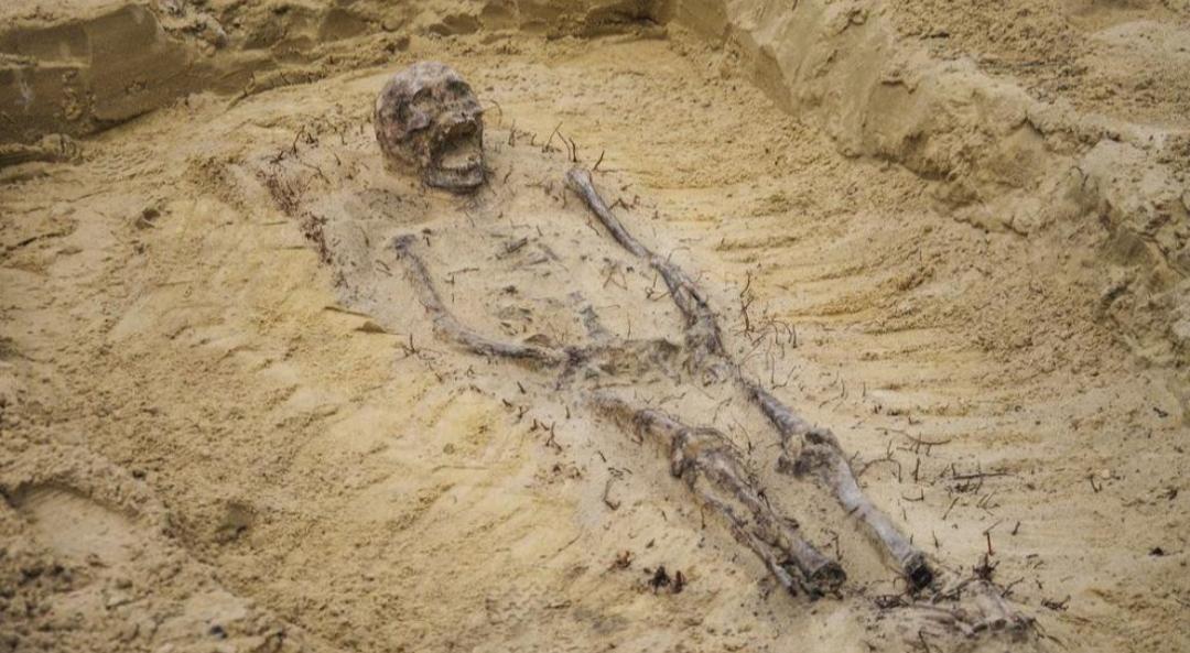 El cementerio del siglo XVI donde enterraban a los niños con monedas en la boca
