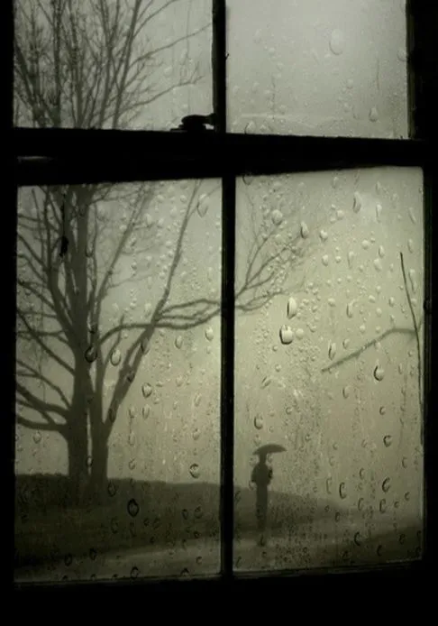 Como la tierra sabe-posdata-digitaq-press