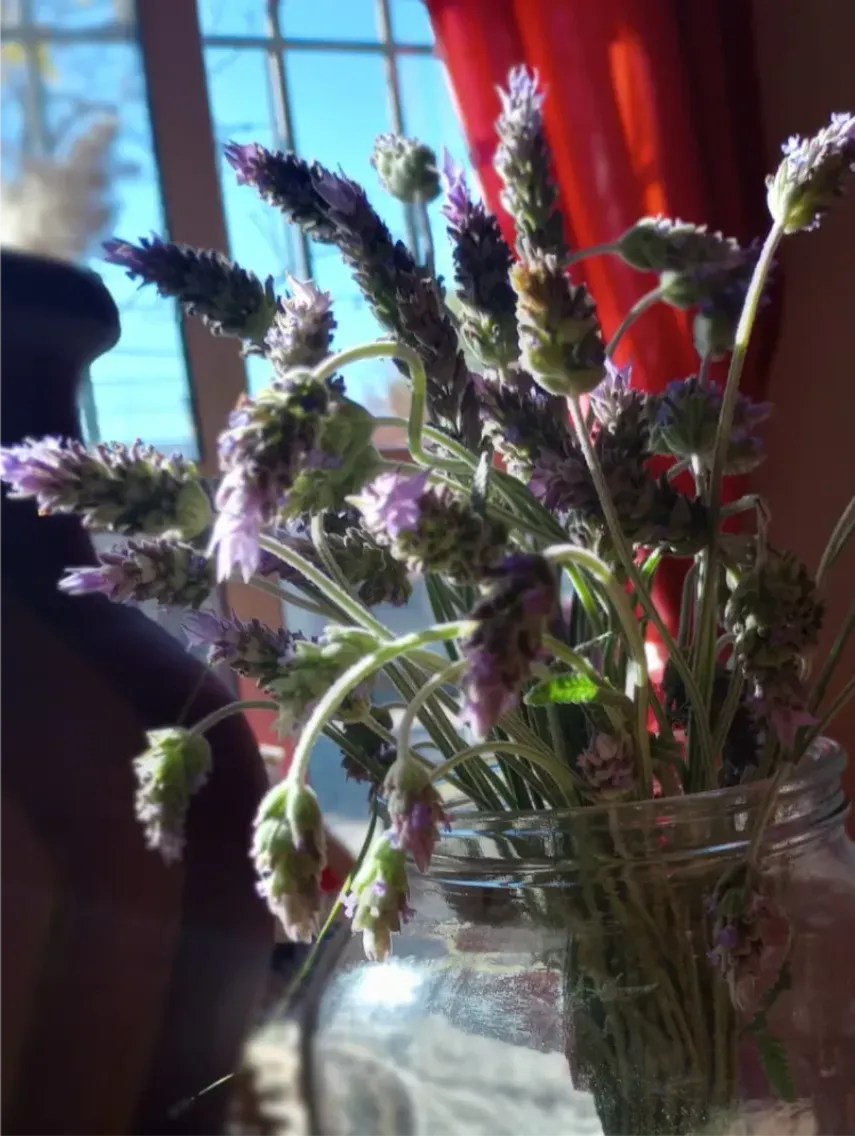 WhatsApp Image 2025-06-05 at 6