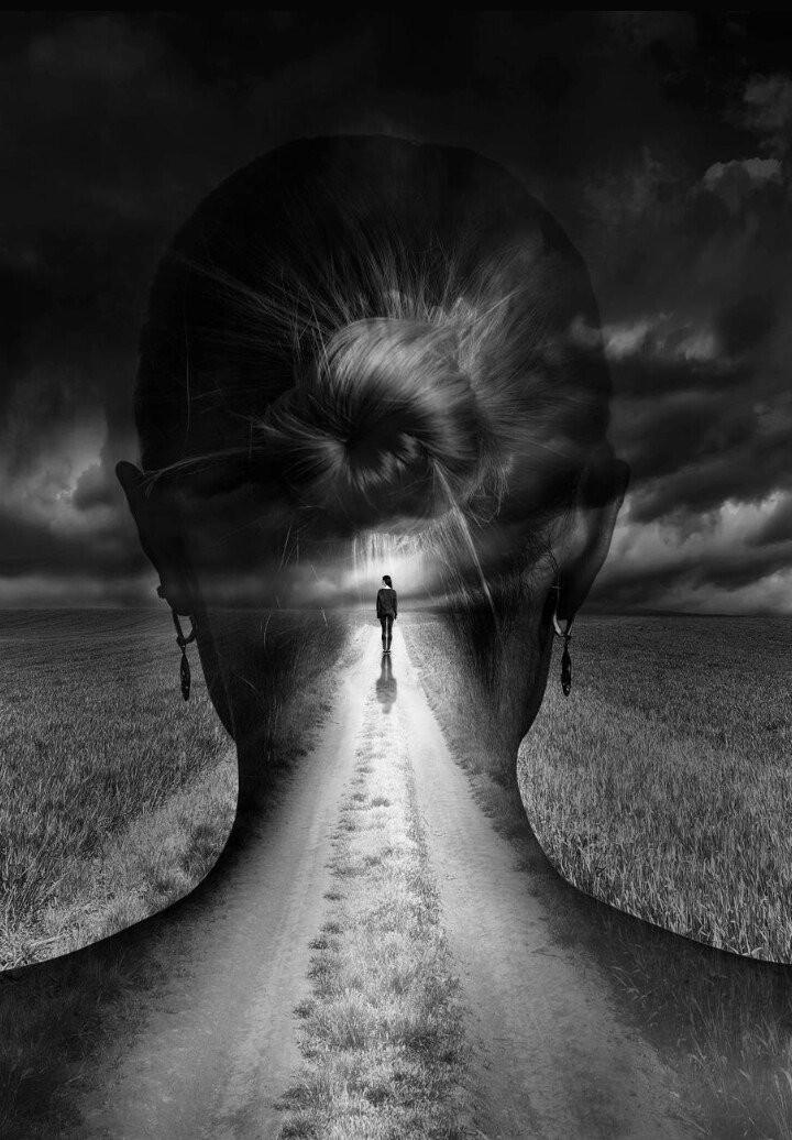 El declive posdata-digi-press