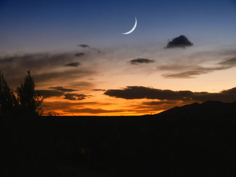 Al caer la noche sola y en silencio-posdata