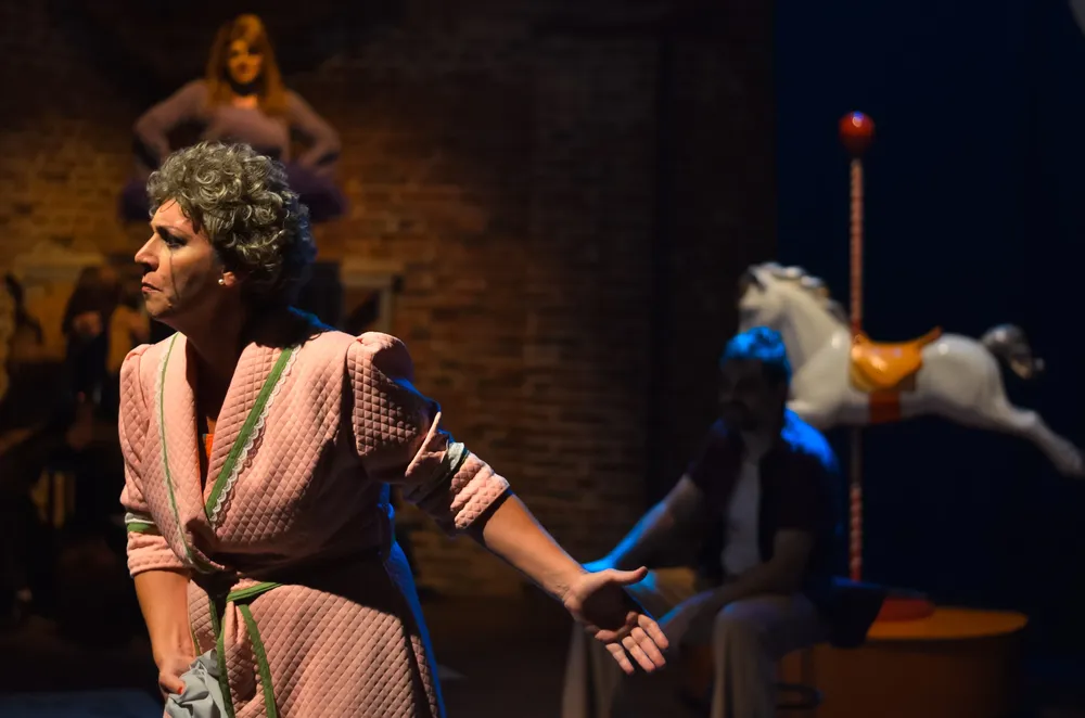 adoro esta vida-teatro-PH: Julian Lopez
