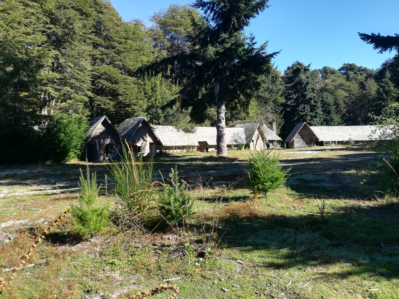 IMG-20180607-WA0025
