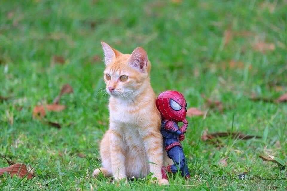 Las aventuras del pequeño hombre araña y sus amigos