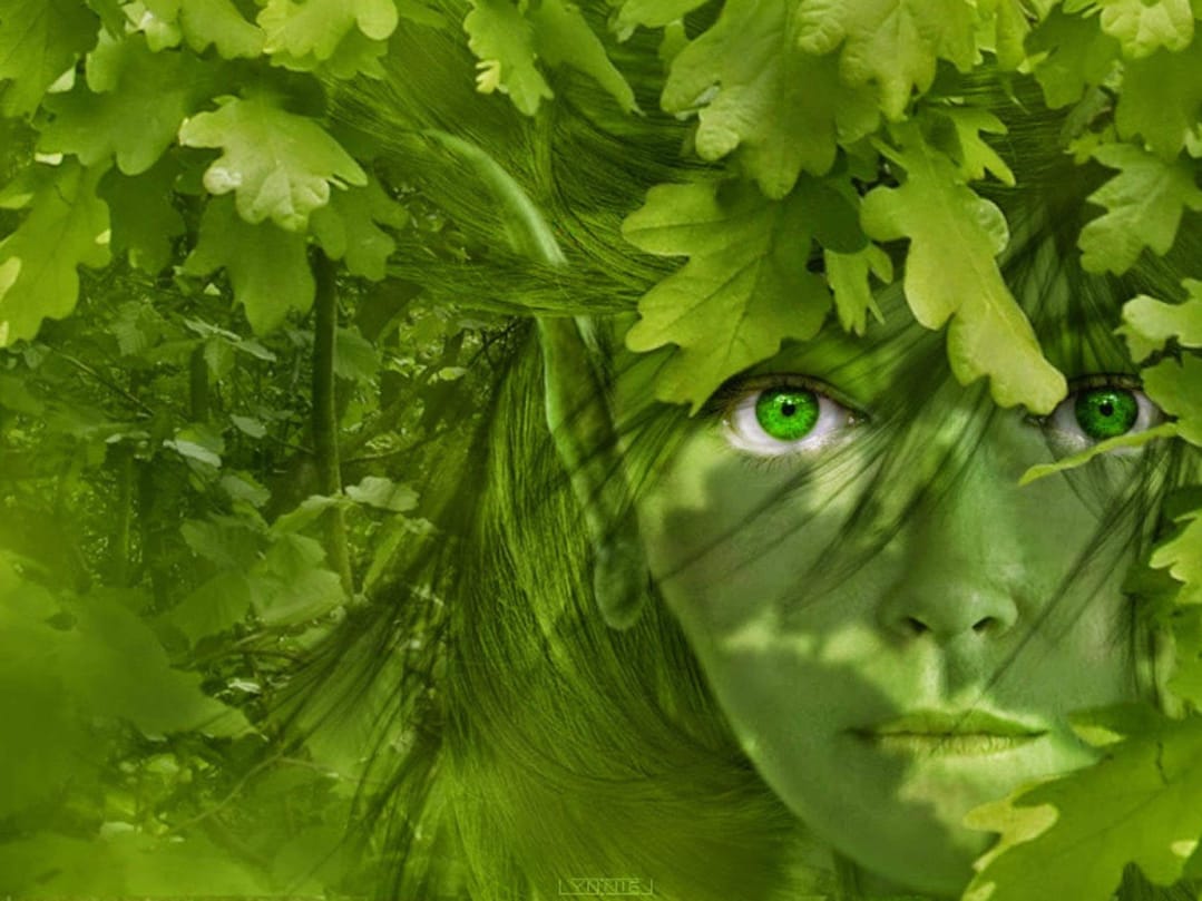 WhatsApp Image 2019-01-23 at 22.30.21