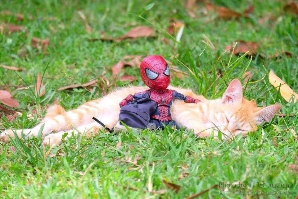 Las aventuras del pequeño hombre araña y sus amigos