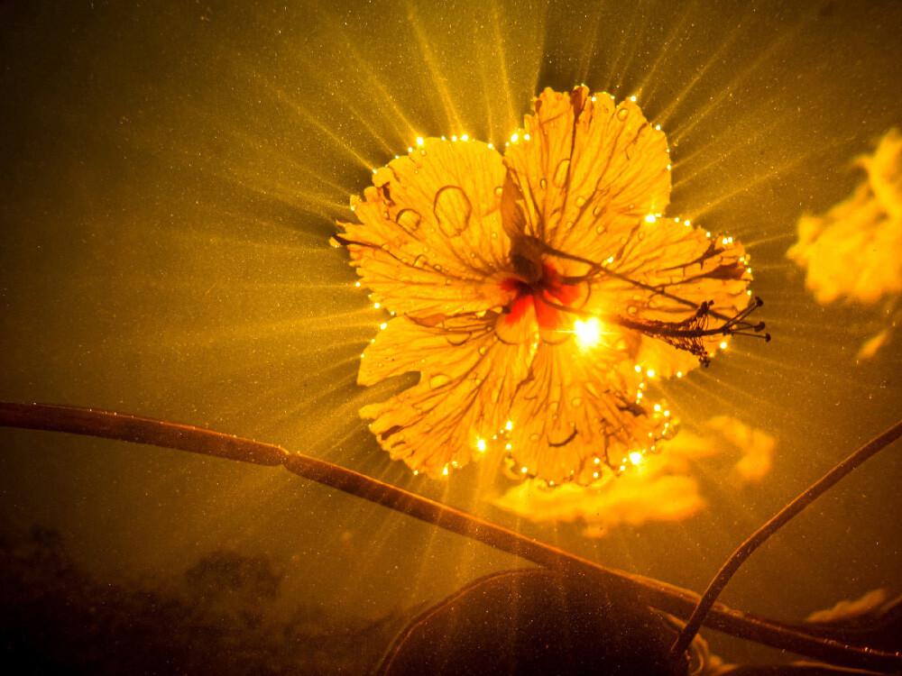 concurso PhotoAquae 2021