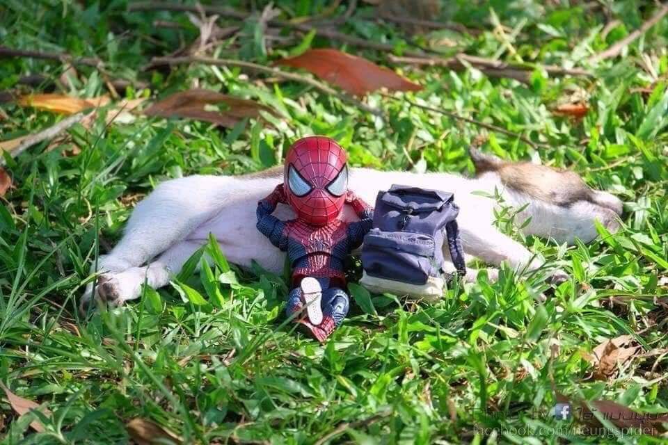 Las aventuras del pequeño hombre araña y sus amigos